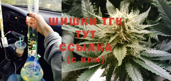 хмурый Магас