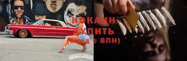 хмурый Магас
