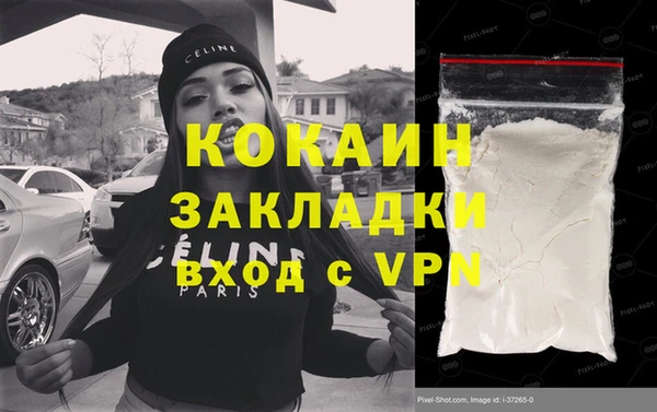 хмурый Магас