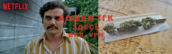 первитин Вяземский