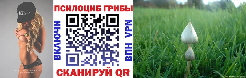 Псилоцибиновые грибы мухоморы  Вытегра 