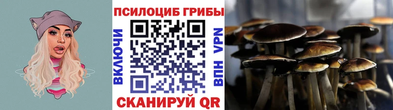 Галлюциногенные грибы мицелий Вытегра